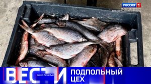 Вести Санкт-Петербург. Выпуск 11.30 от 16.07.2026