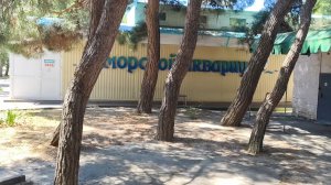 Аквариум в Анапе! Морские и пресноводные рыбки