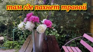 ТАМ ГДЕ ПАХНЕТ ТРАВОЙ - премьера