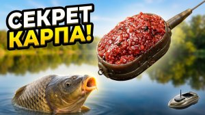 Рыбалка на Карпа на флэт и карповые монтажи летом