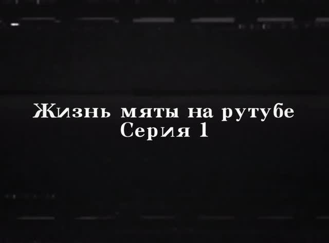ЖИЗНЬ МЯТЫ НА РУТУБЕ | СЕРИЯ 1|