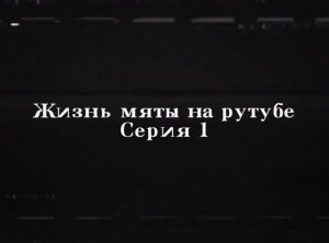 ЖИЗНЬ МЯТЫ НА РУТУБЕ | СЕРИЯ 1|
