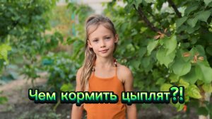 Кормление курочек и сбор яиц.