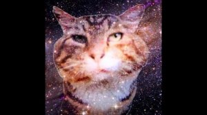 Радостные лица Кота Носка расширенная версия