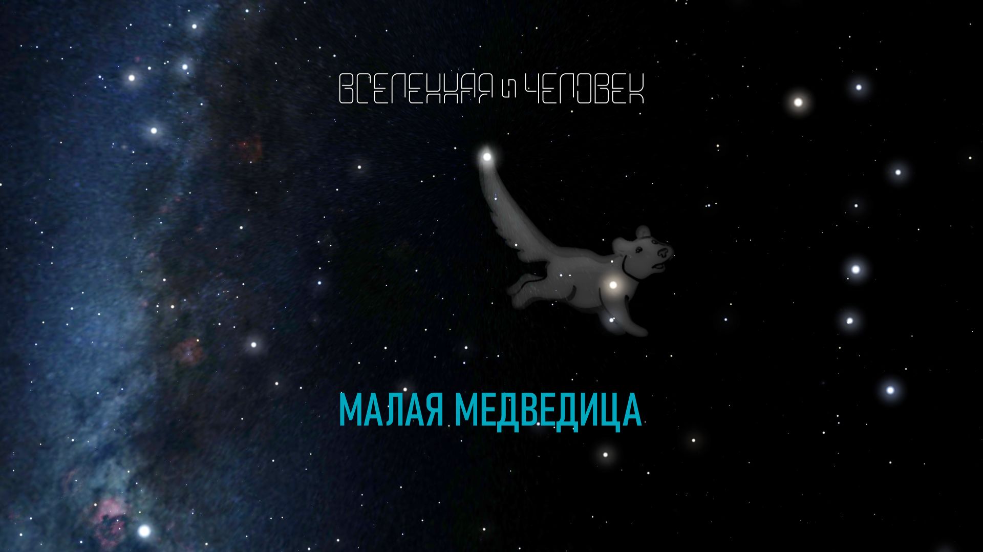Созвездие: Малая Медведица