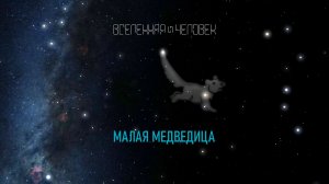 Созвездие: Малая Медведица