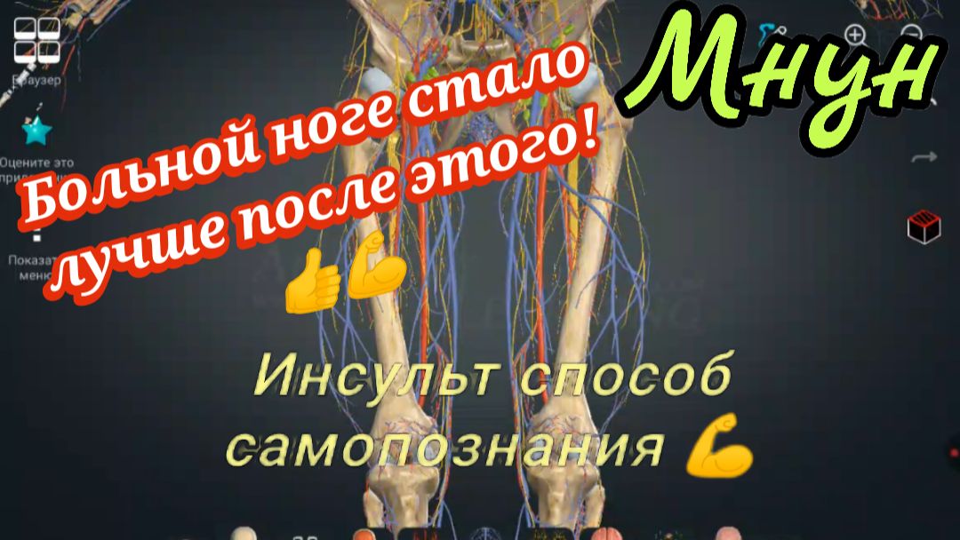 Здоровье