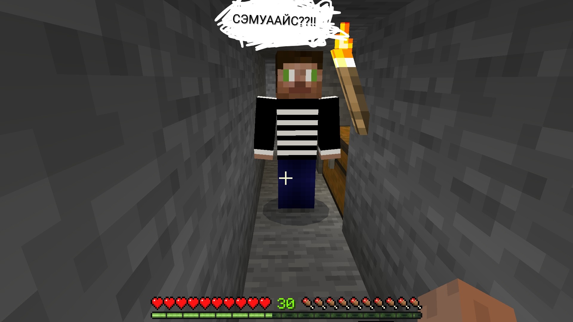 Я ВПЕРВЫЕ УВИДЕЛ СВОЕГО ПРОПАВШЕГО ДРУГА БЛЭКА ЗА 5 ЛЕТ В МАЙНКРАФТ SAMWISE MINECRAFT