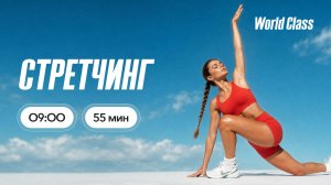 СТРЕТЧИНГ с Еленой Жиляевой | 17 июля 2026 | Онлайн-тренировки World Class