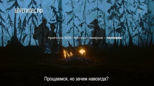 Причина 90% лесных пожаров — человек