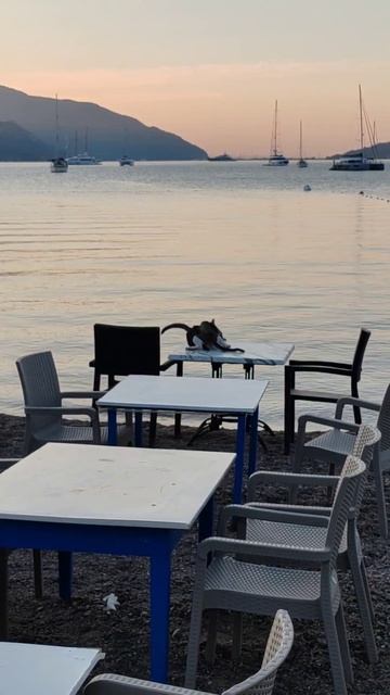 На рассвете 🇹🇷