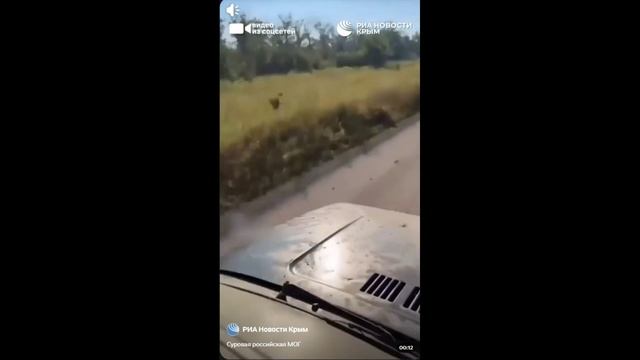 😮👍 смотреть онлайн