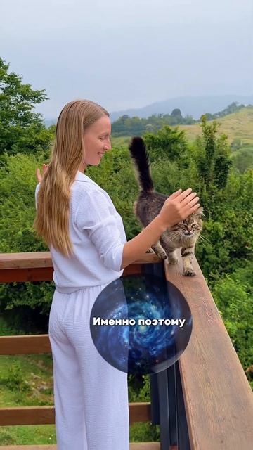 Ответы - внутри нас