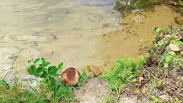 ЛЕТНИЙ ОТДЫХ