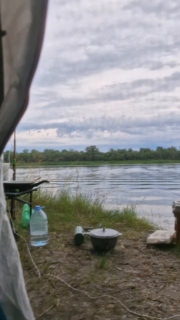 Проснутся в палатке у реки - это КАЙФ #отдыхнаприроде #палатка #река #рыбалка #утро