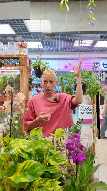 Истории из жизни. Народные способы укоренить растение.