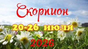 Скорпион♏Таро-прогноз на неделю с 20 по 26 июля🕊️