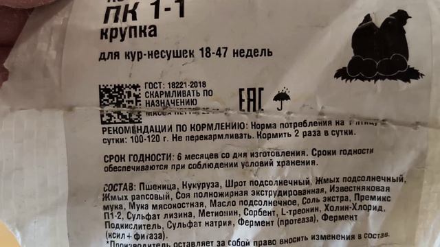 ЦЫПЛЯТА на ПК-4: КАССЕТЫ для ЗЕЛЕНИ и эксперименты с выгулом 🥚📈