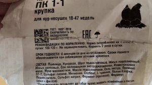 ЦЫПЛЯТА на ПК-4: КАССЕТЫ для ЗЕЛЕНИ и эксперименты с выгулом 🥚📈