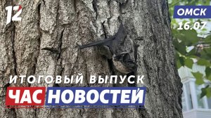 Активизировались летучие мыши / Телефонные мошенники / Ремонт школы. Новости Омска