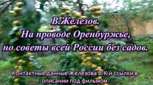 В.Железов. На проводе Оренбуржье, но советы всей России без садов.