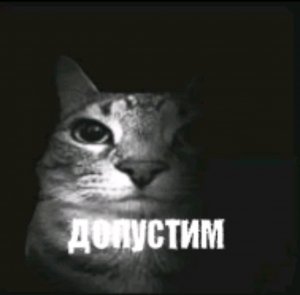 едем в зимние горы