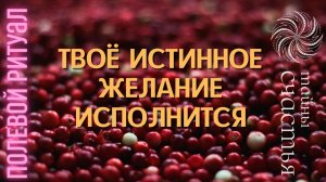 ИСТИННОЕ ЖЕЛАНИЕ ОБЯЗАТЕЛЬНО СБУДЕТСЯ, ПРОСТО СМОТРИ, ритуал Тайны счастья