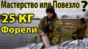 Попали на раздачу Форели эта снасть ловит 1000%%% #форелеваярыбалка #форель #troutfishing