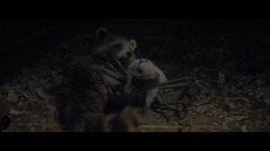 стражи галактики история ракеты
