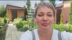 Впереди большая стрижка.