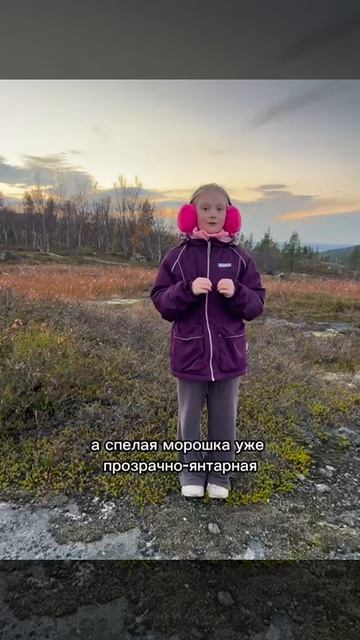 Стенд 32. Вишнякова Светлана. Морошка