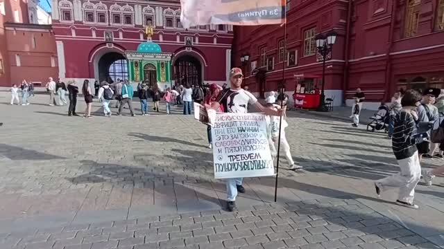 Одиночный пикет