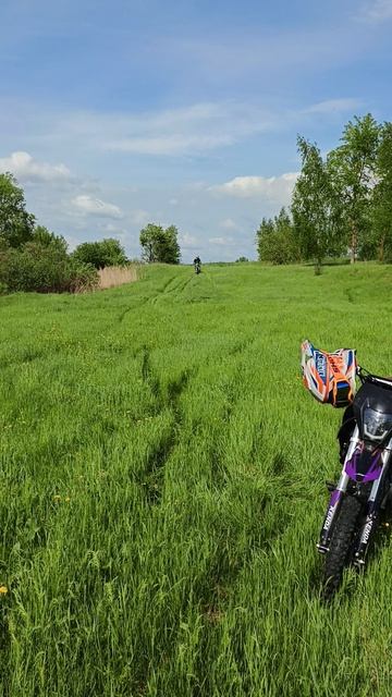 Приехали в деревню