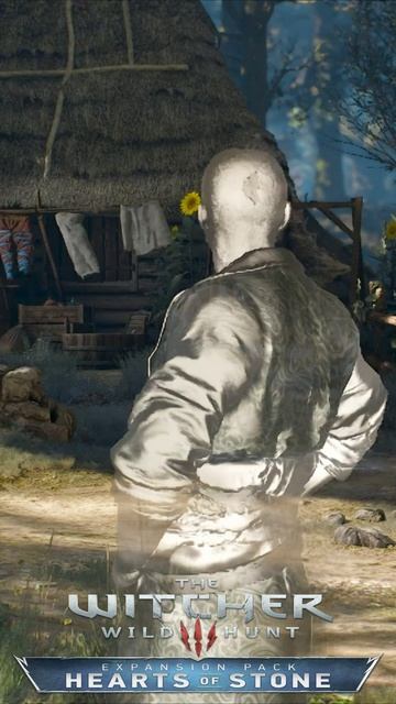 МЫ ТОЛЬКО ОДОЛЖИМ! Витольд и наряд для Геральта Witcher 3 Hearts of Stone