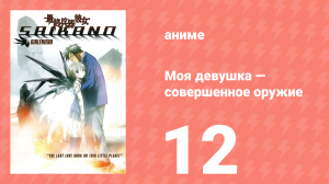 Моя девушка — совершенное оружие 12 серия (аниме-сериал, 2002)