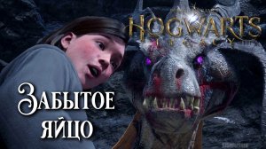 Забытое яйцо. Hogwarts Legacy прохождение. Poached Egg