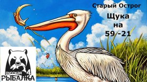 РР4 Щука 59 -21. Старый Острог.