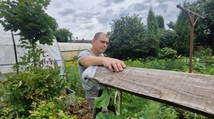 Хоть плач на это глядя  за свои труды. Денис сорвался на нервах. Погода. Шашлык.