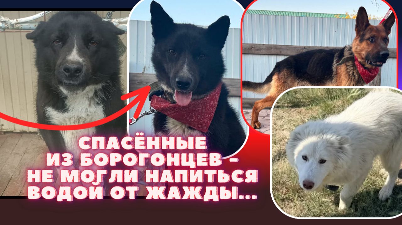 Из концлагеря без еды и воды — на рейс в счастливую жизнь! ✈️