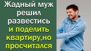 Жадный муж решил развестись и поделить квартиру, но просчитался