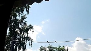 Смотреть до конца!