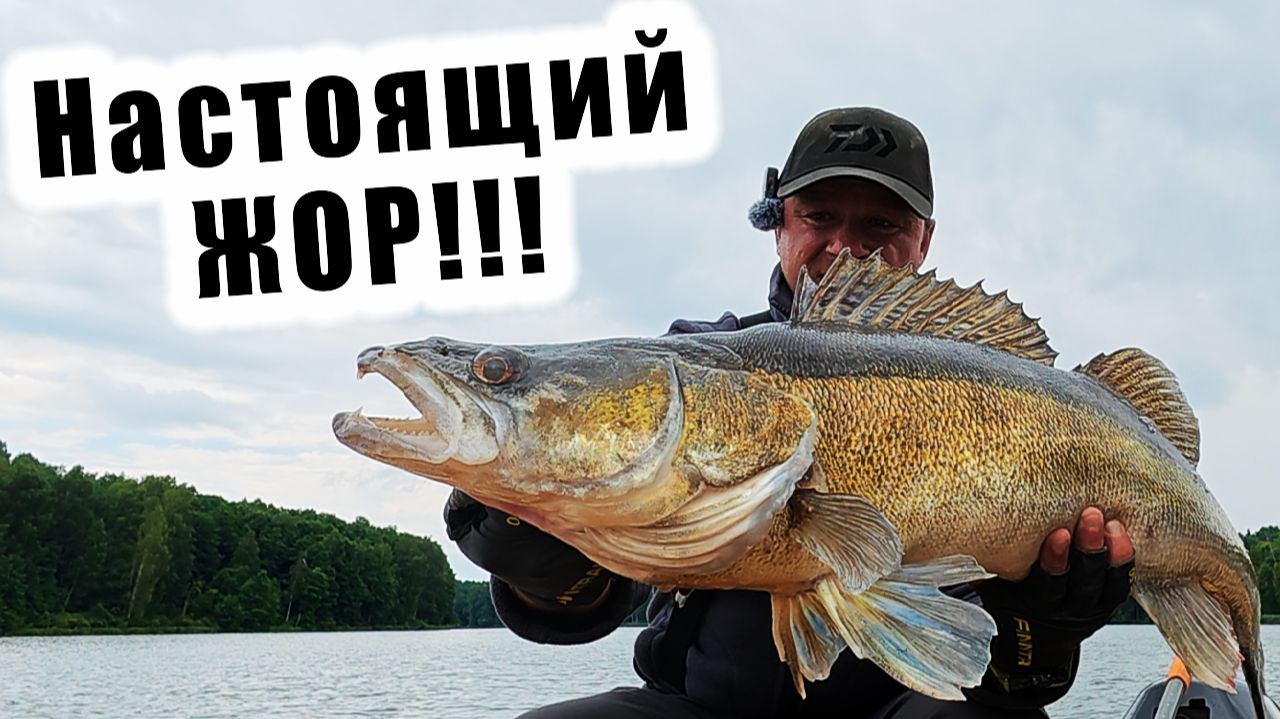 ВОТ ЭТО РЫБАЛКА!!! НАСТОЯЩИЙ КЛЁВ ТРОФЕЙНОГО СУДАКА!!! Ronin Rush SUPER SONIC GENESIS 15-60гр. смотреть онлайн