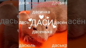 Одна из причин, почему мне стыдно удалять даси.