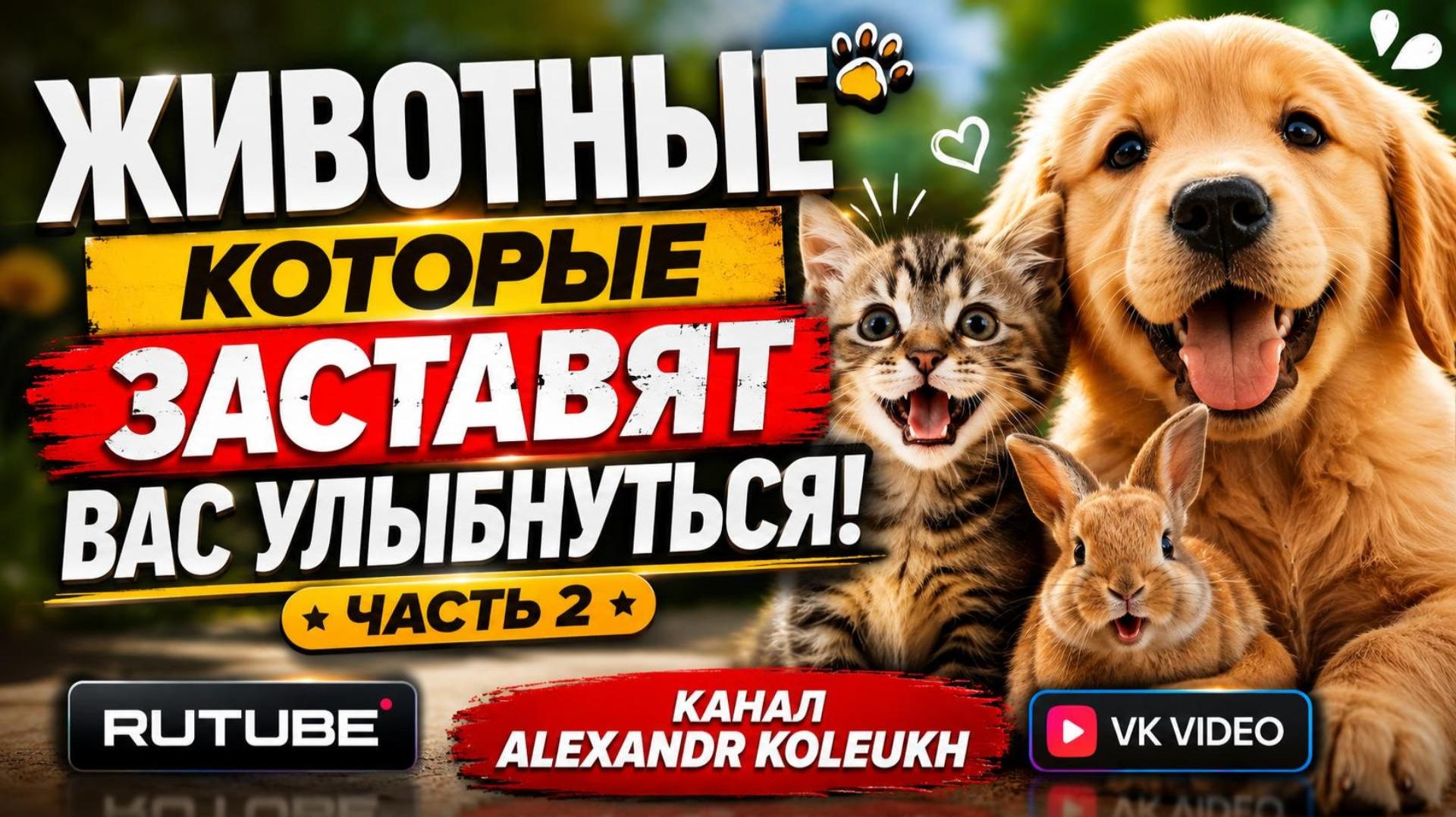 ЖИВОТНЫЕ, КОТОРЫЕ ЗАСТАВЯТ ВАС УЛЫБНУТЬСЯ! ЧАСТЬ 2