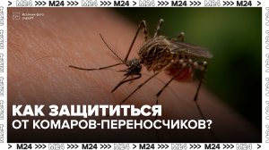 Роспотребнадзор предупредил о комарах-переносчиках лихорадки Западного Нила в России - Москва 24