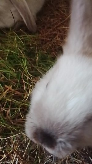 3 эфир