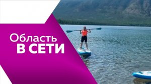 Область в сети №355