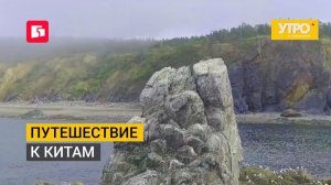 Путешествие к китам. Утро с Губернией. 17/07/2026. GuberniaTV
