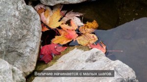 Эстетика в деталях: Разбираем идеальные композиции