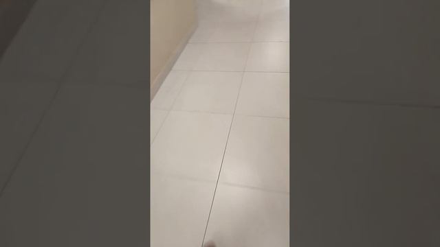 1000573574.mp4 смотреть онлайн